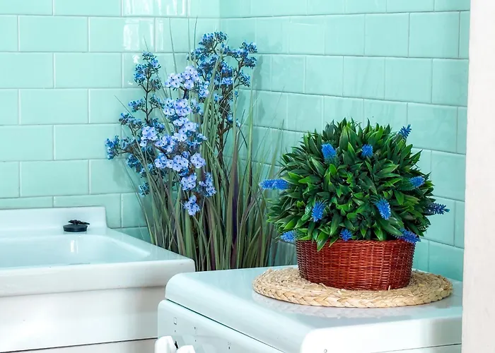 Διαμέρισμα Montpelier Al Centro 6 Piano Rif A817 Σαν Μπενεντέτο ντελ Τρόντο